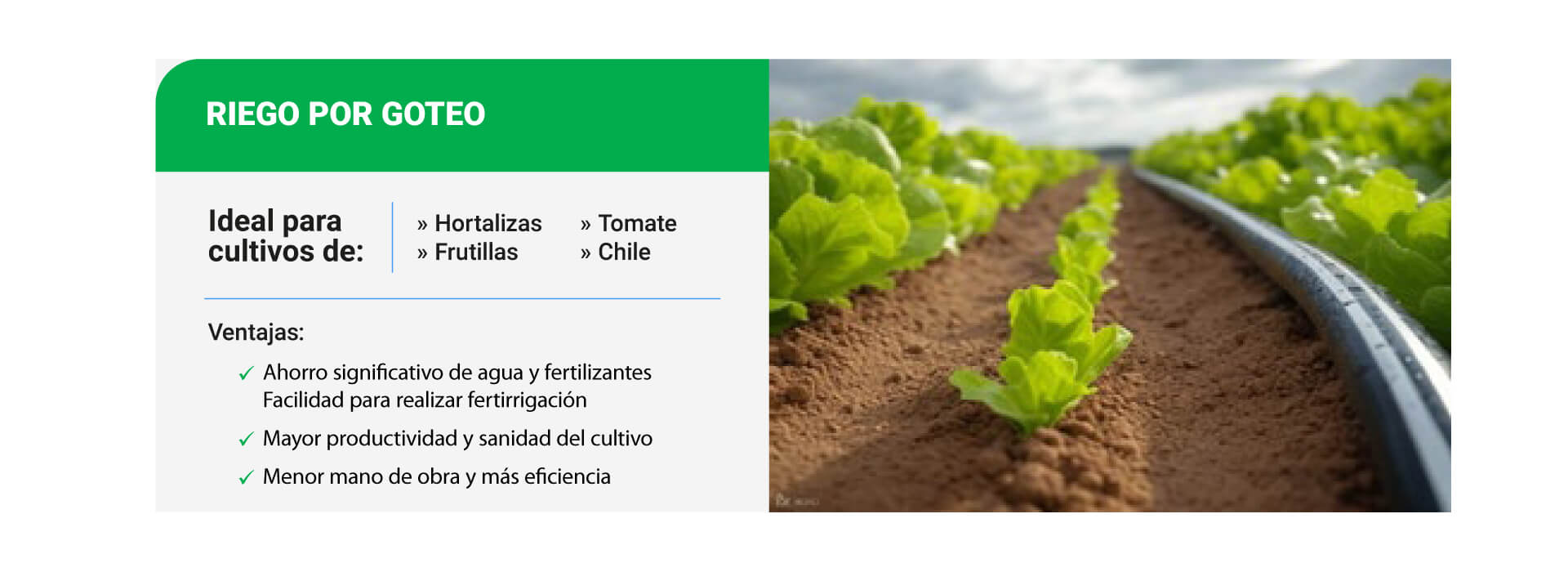 EQUIPOS COMPLETOS PARA RIEGO POR GOTEO